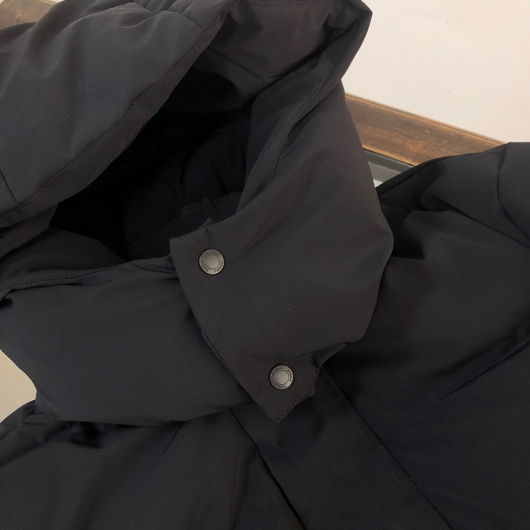 Zegna Down Jackets